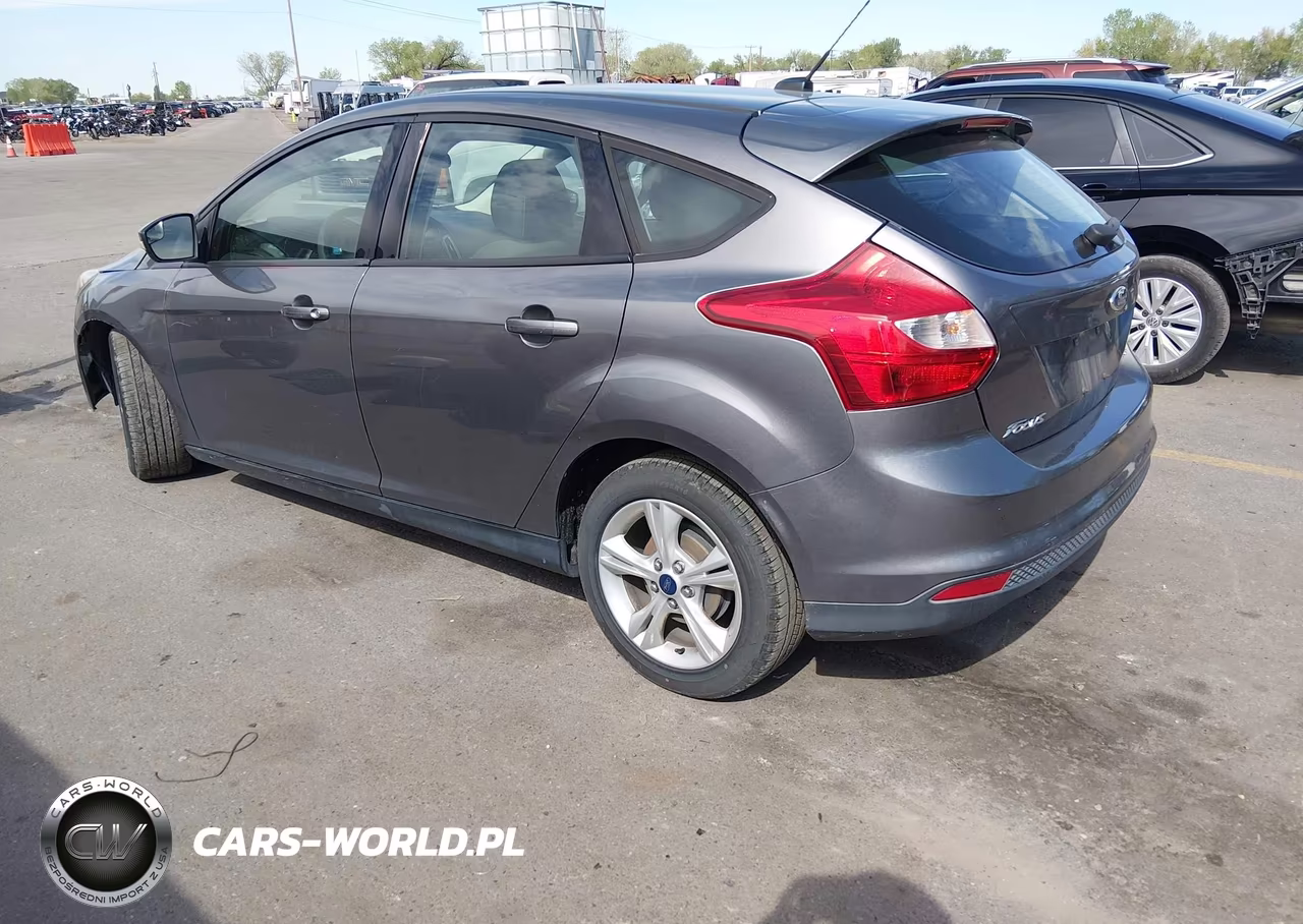 2014 Ford Focus Se VIN:1FADP3K29EL462016 - 3