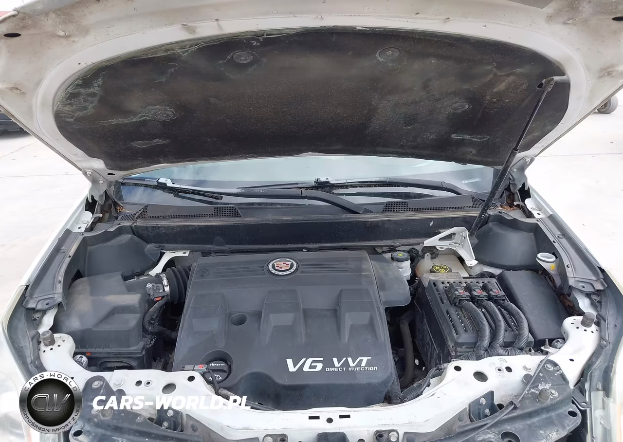 2013 Cadillac Srx Performance Collection VIN:3GYFNDE36DS575931 - 10