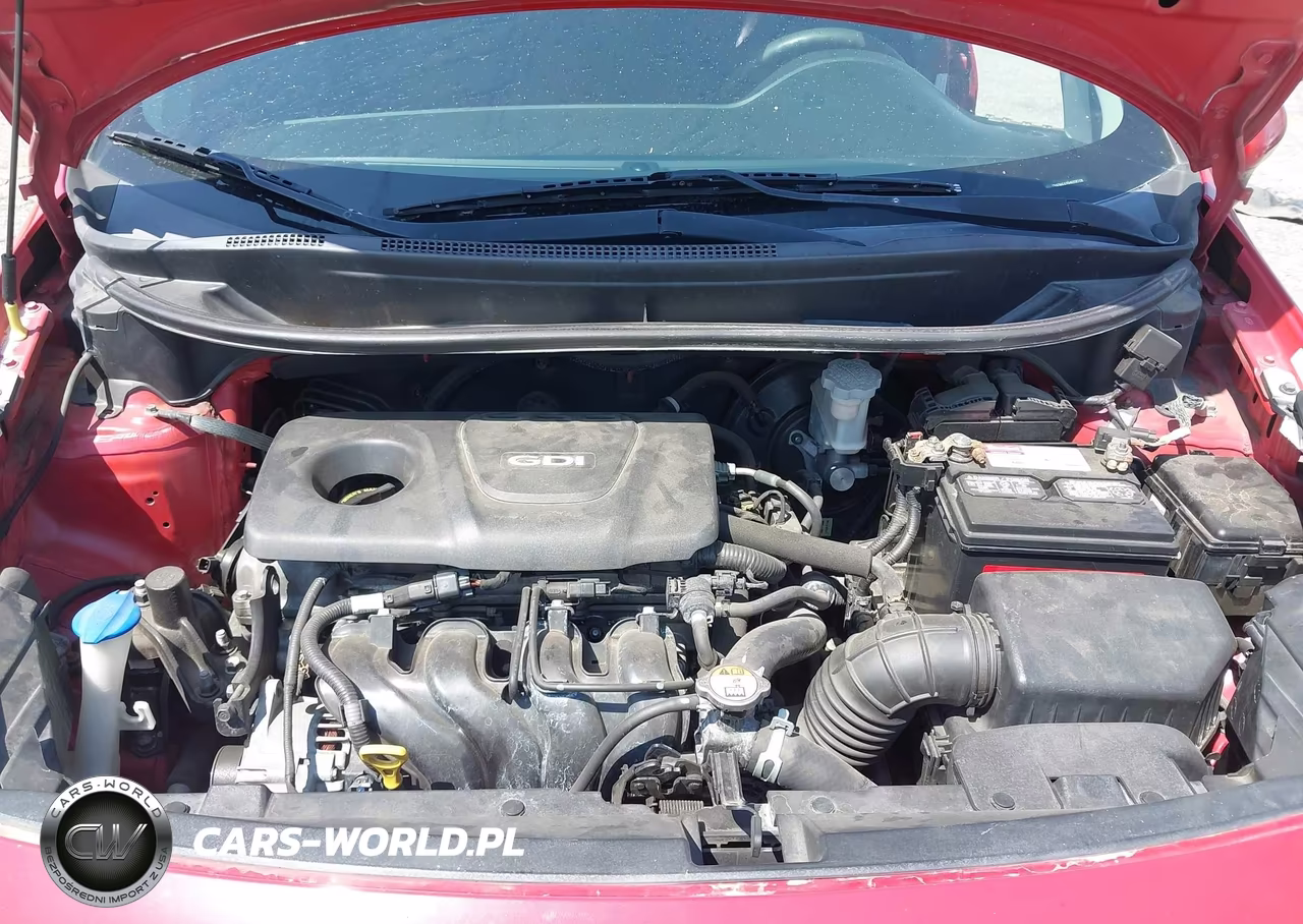 2017 Kia Rio Lx VIN:KNADM4A39H6038208 - 10