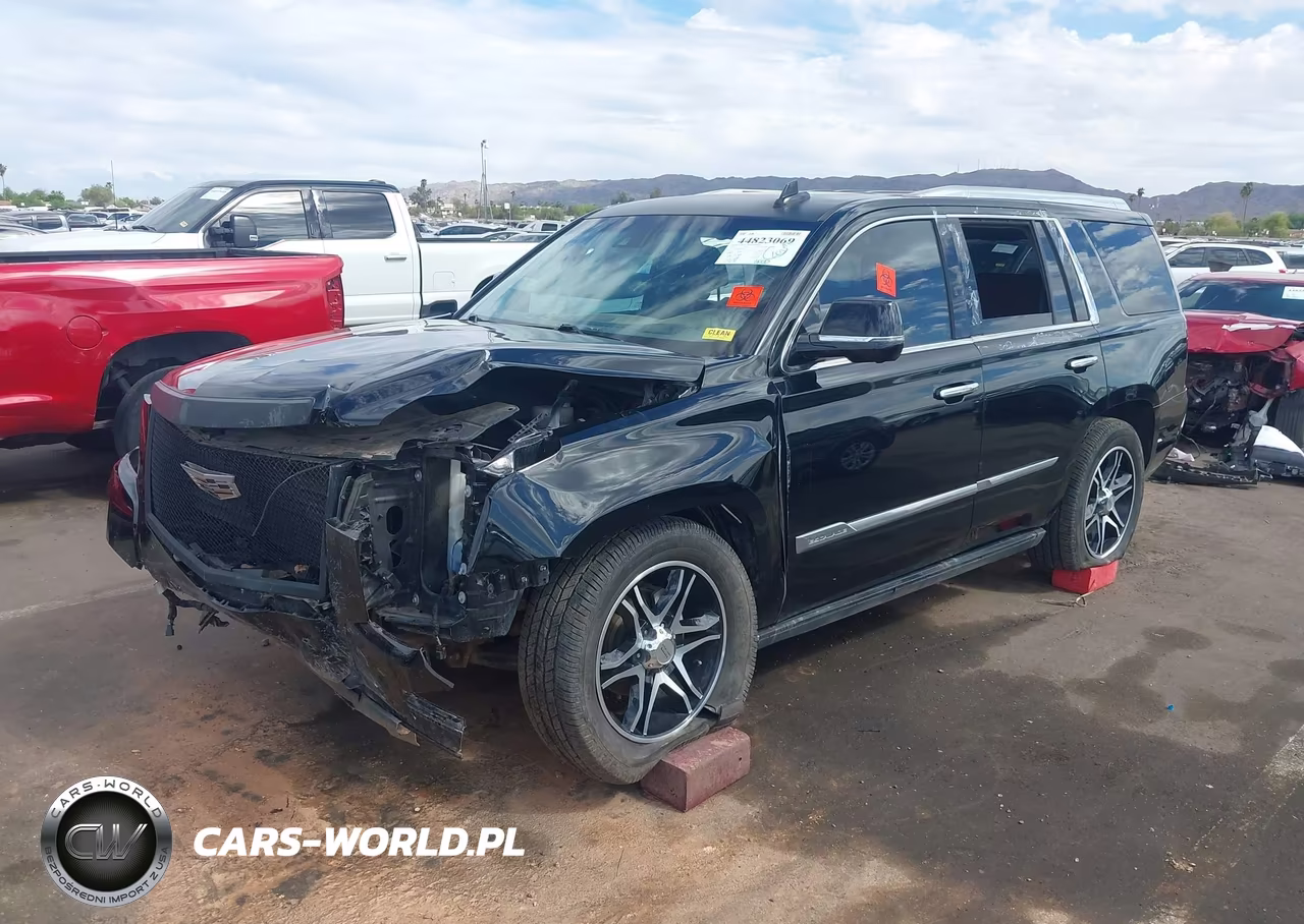 2019 Cadillac Escalade Premium Luxury VIN:1GYS4CKJ9KR289411 - 2