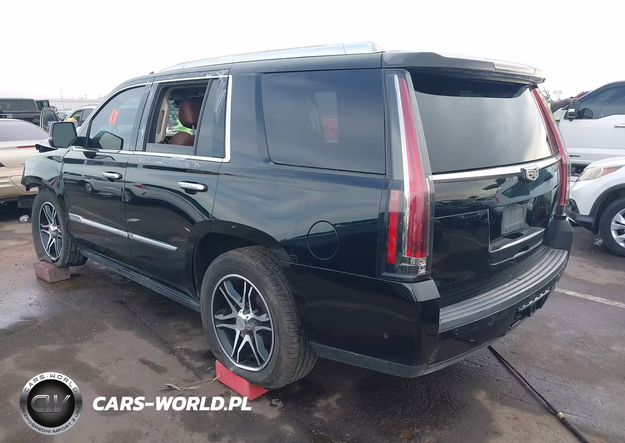 2019 Cadillac Escalade Premium Luxury VIN:1GYS4CKJ9KR289411 - 3