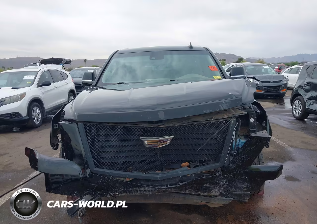 2019 Cadillac Escalade Premium Luxury VIN:1GYS4CKJ9KR289411 - 6