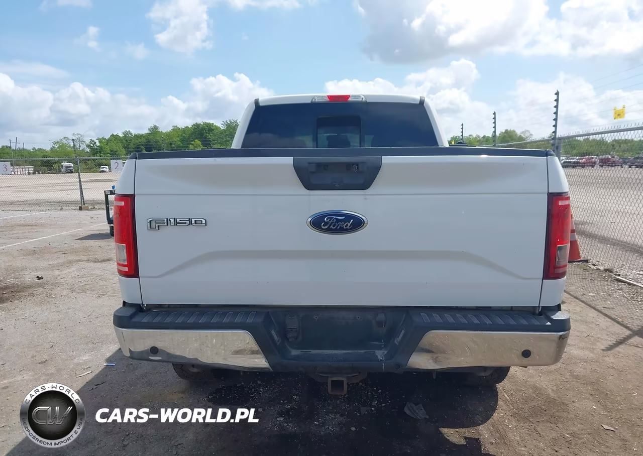2017 Ford F-150 Xlt VIN:1FTFW1EF9HFC56514 - 16