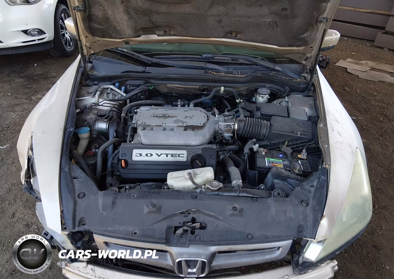 2004 Honda Accord 3.0 Lx VIN:1HGCM66364A014931 - 10