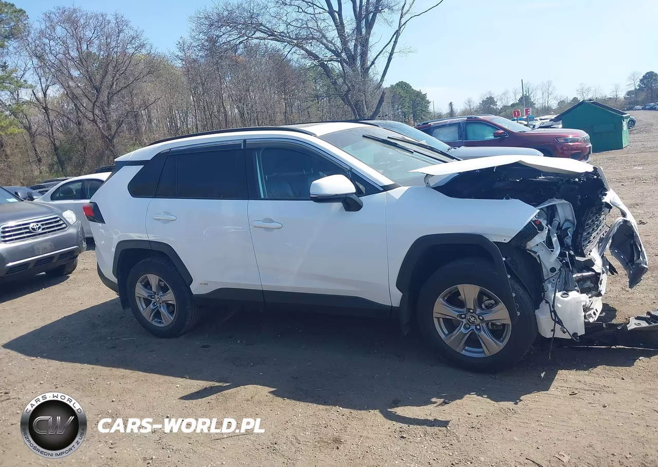 2025 Toyota Rav4 Hybrid Xle VIN:2T3RWRFV1SW254862 - 13