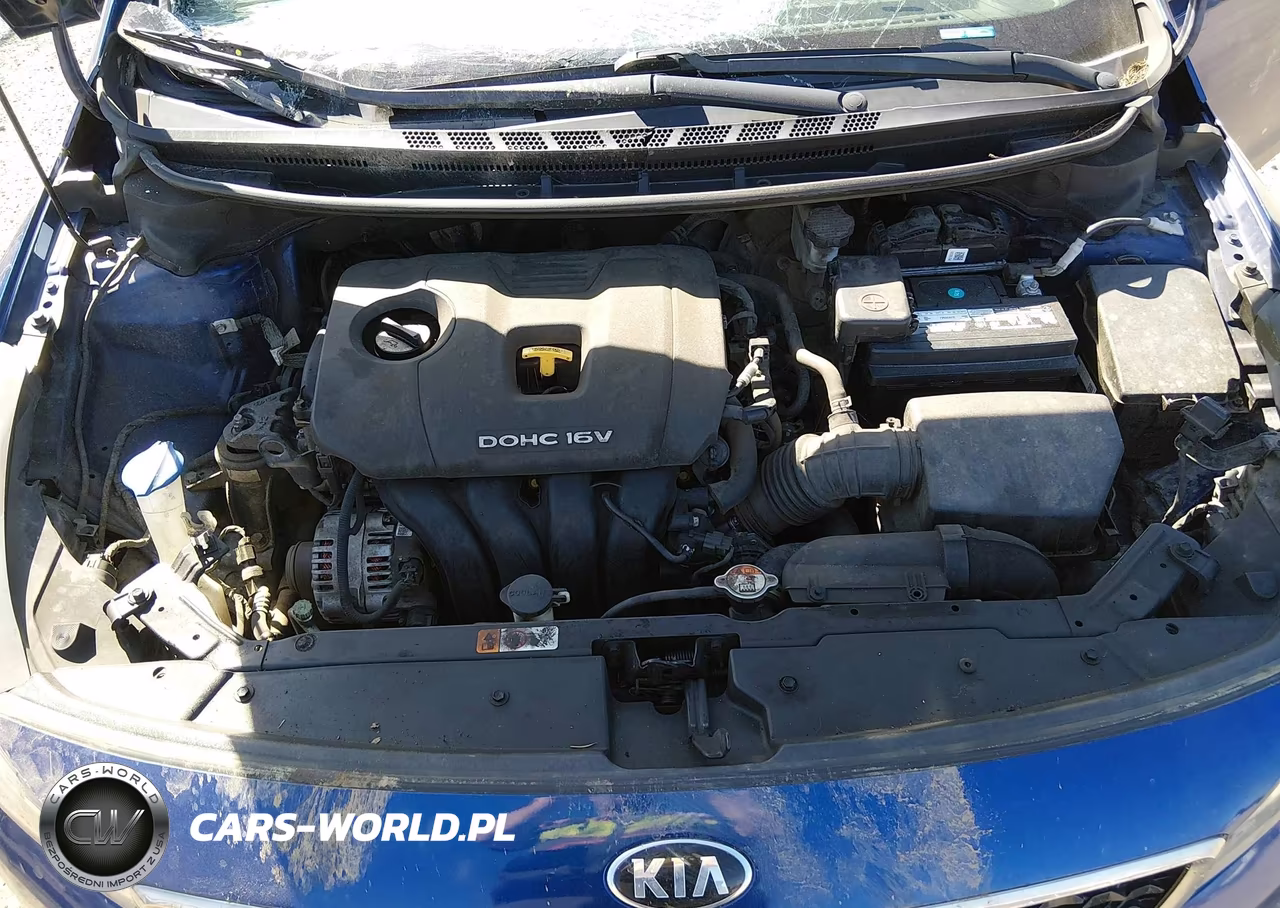 2018 Kia Forte S VIN:3KPFL4A71JE171515 - 10