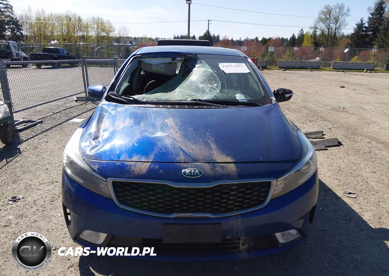 2018 Kia Forte S VIN:3KPFL4A71JE171515 - 12