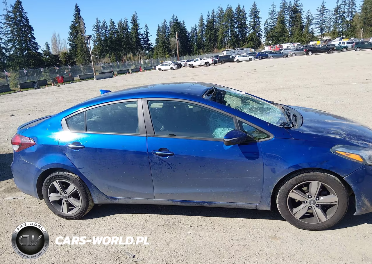 2018 Kia Forte S VIN:3KPFL4A71JE171515 - 13