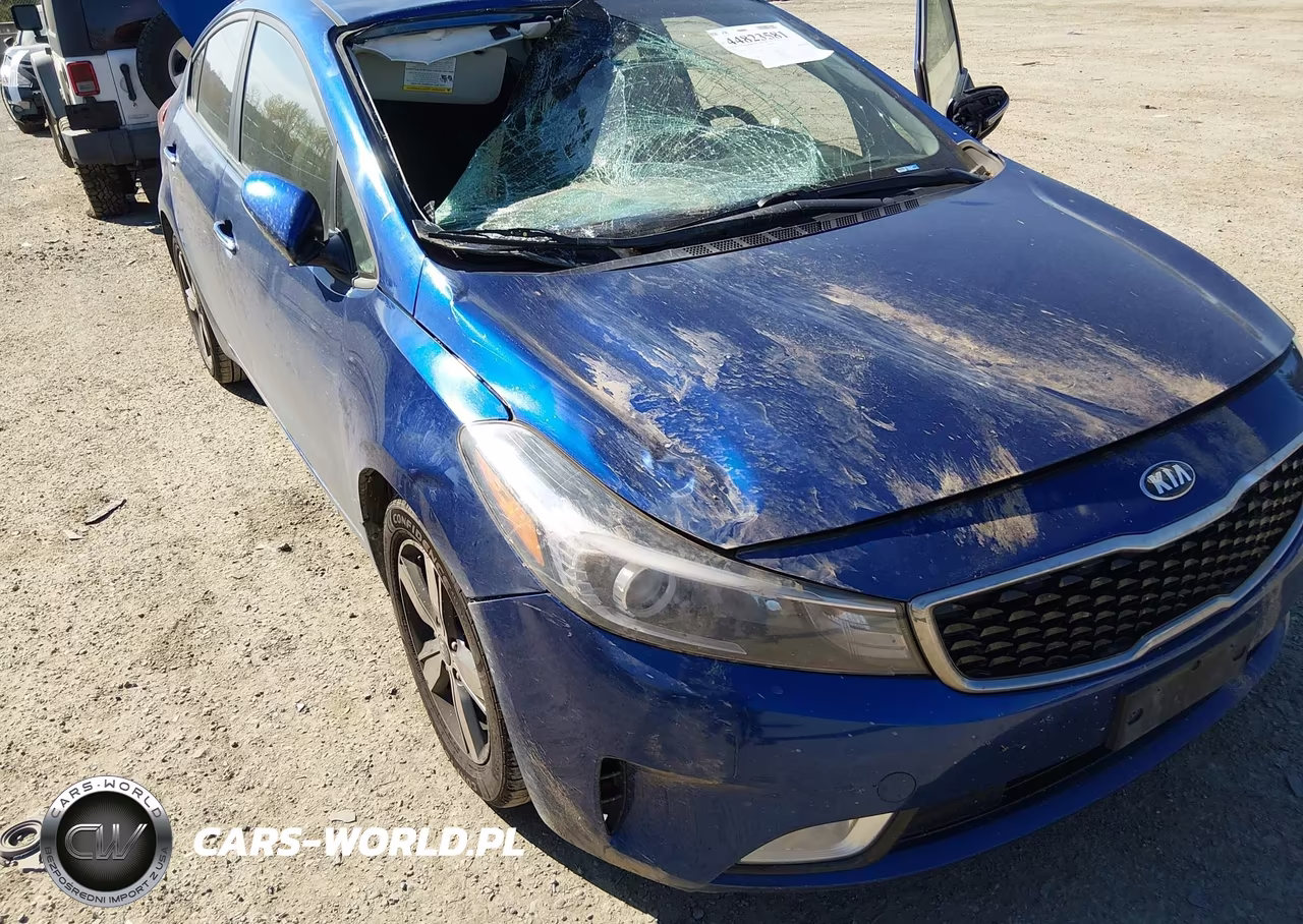 2018 Kia Forte S VIN:3KPFL4A71JE171515 - 6