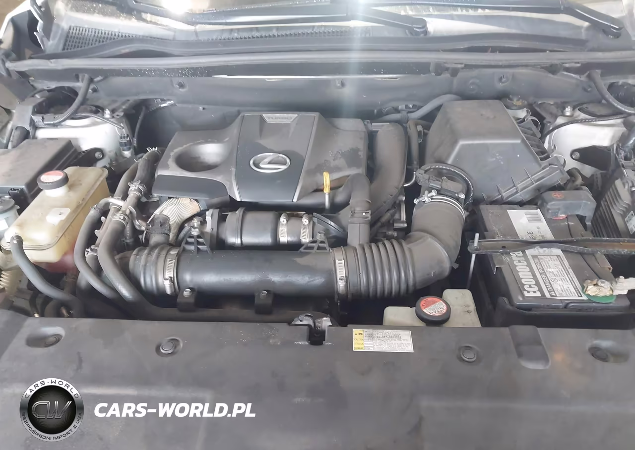 2016 Lexus Nx 200T VIN:JTJYARBZ9G2024194 - 10