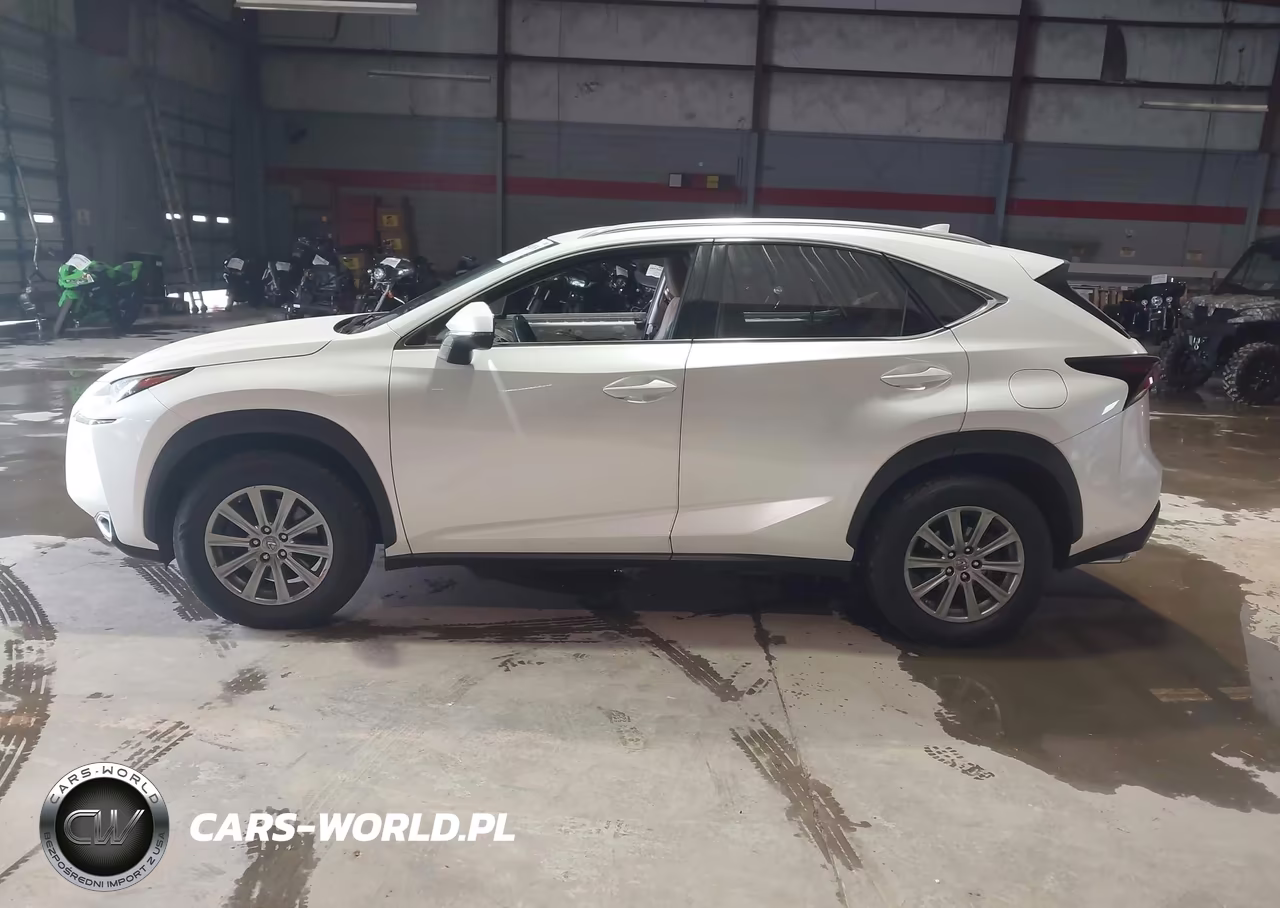 2016 Lexus Nx 200T VIN:JTJYARBZ9G2024194 - 14