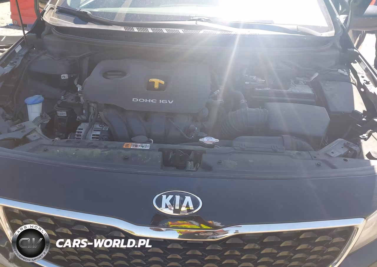 2018 Kia Forte Lx VIN:3KPFK4A70JE229262 - 10