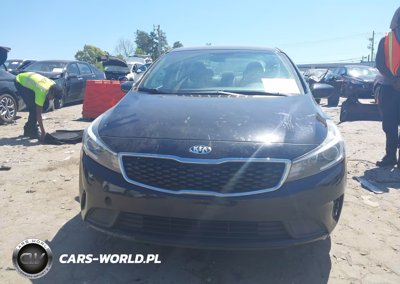 2018 Kia Forte Lx VIN:3KPFK4A70JE229262 - 12
