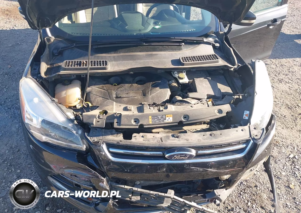 2014 Ford Escape Titanium VIN:1FMCU0J94EUD63301 - 10