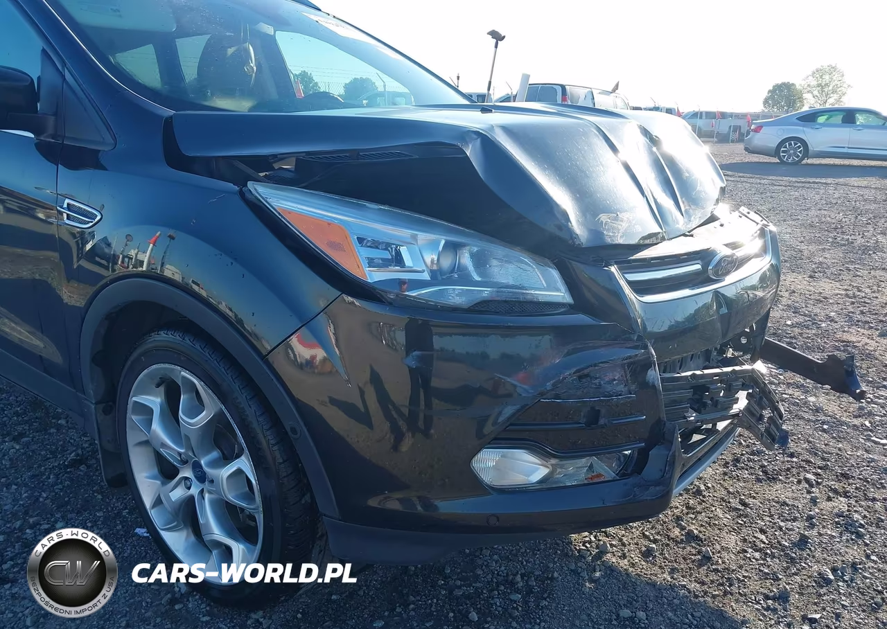 2014 Ford Escape Titanium VIN:1FMCU0J94EUD63301 - 6