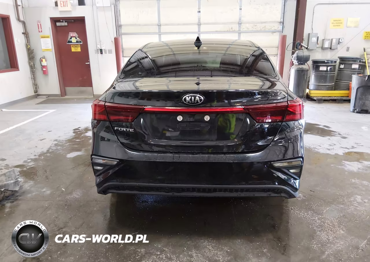 2020 Kia Forte Fe VIN:3KPF24AD5LE235888 - 17