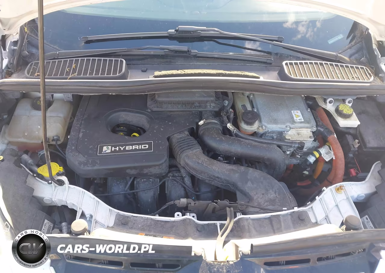2015 Ford C-Max Hybrid Sel VIN:1FADP5BUXFL117298 - 10