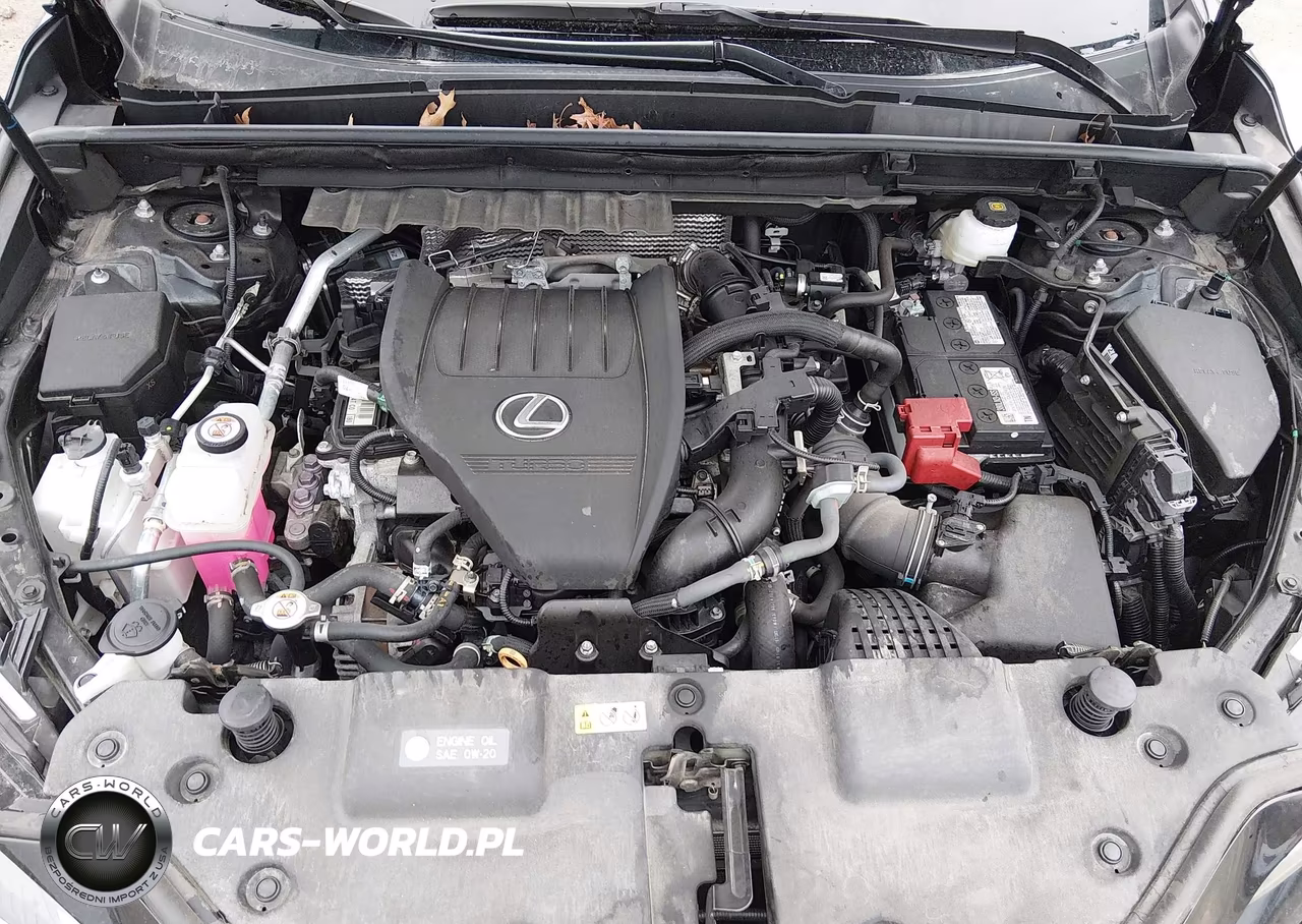 2025 Lexus Nx 350 VIN:2T2AGCEZ8SC067409 - 10