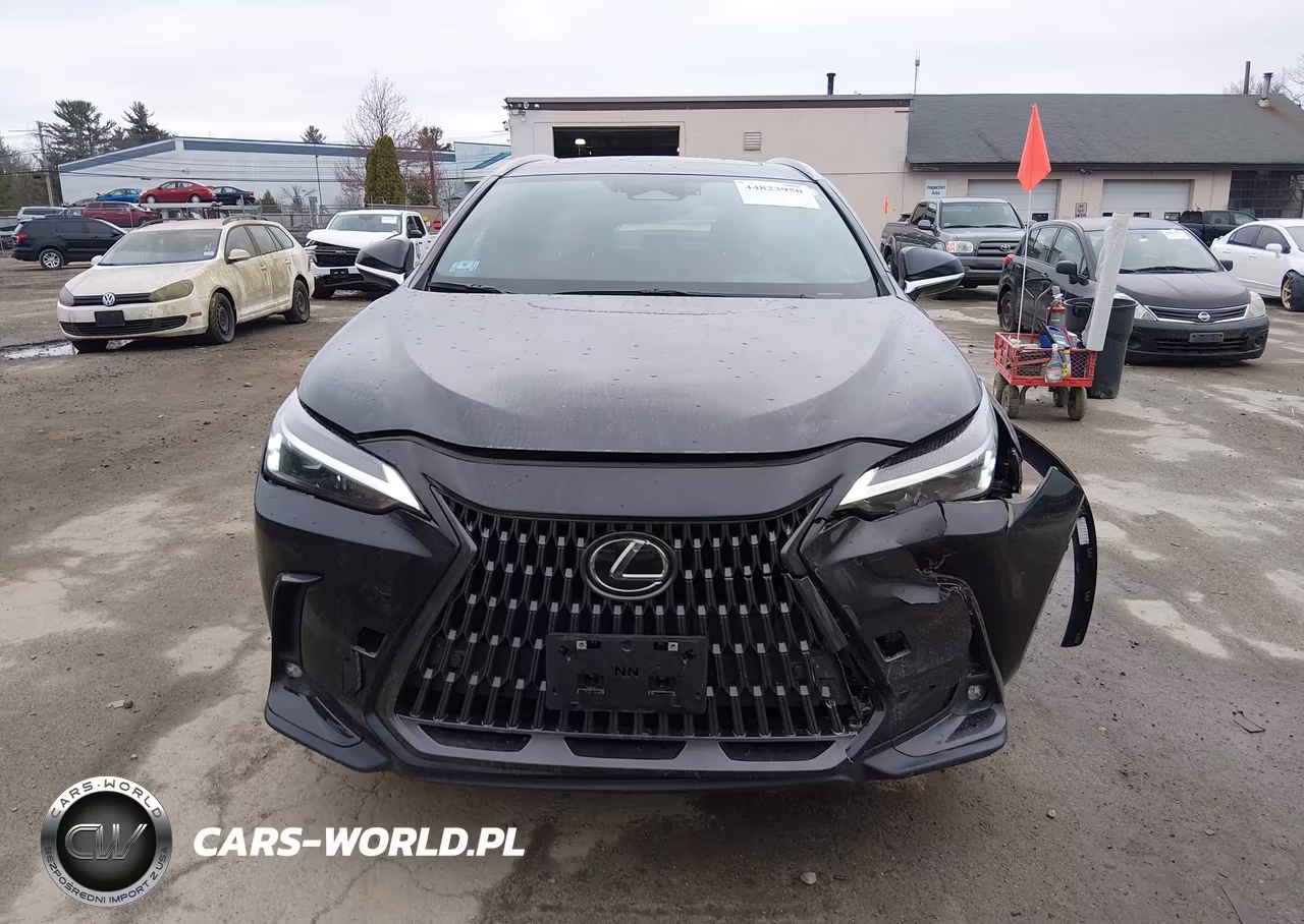 2025 Lexus Nx 350 VIN:2T2AGCEZ8SC067409 - 12