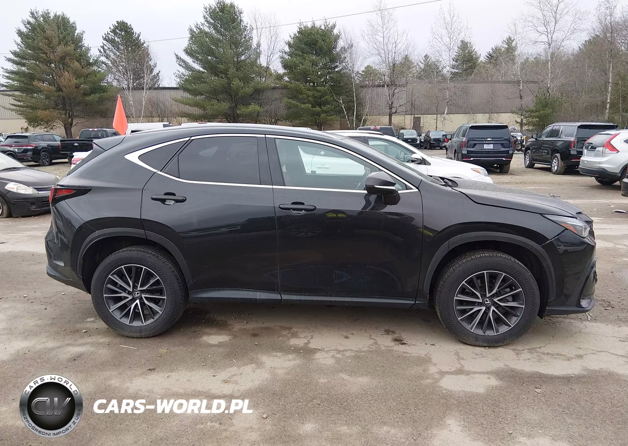 2025 Lexus Nx 350 VIN:2T2AGCEZ8SC067409 - 13