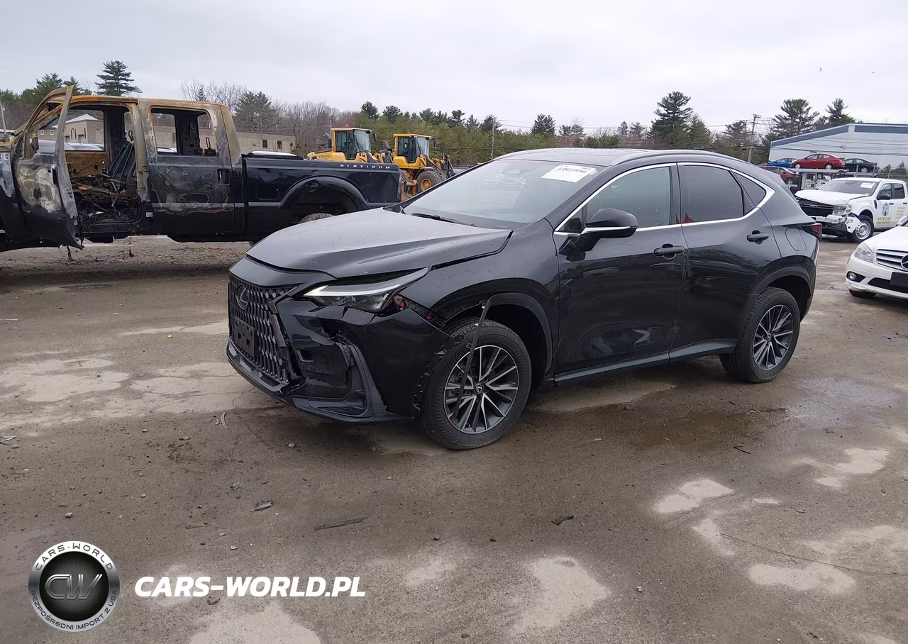 2025 Lexus Nx 350 VIN:2T2AGCEZ8SC067409 - 2