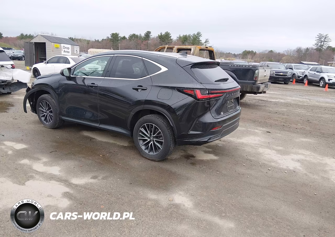 2025 Lexus Nx 350 VIN:2T2AGCEZ8SC067409 - 3