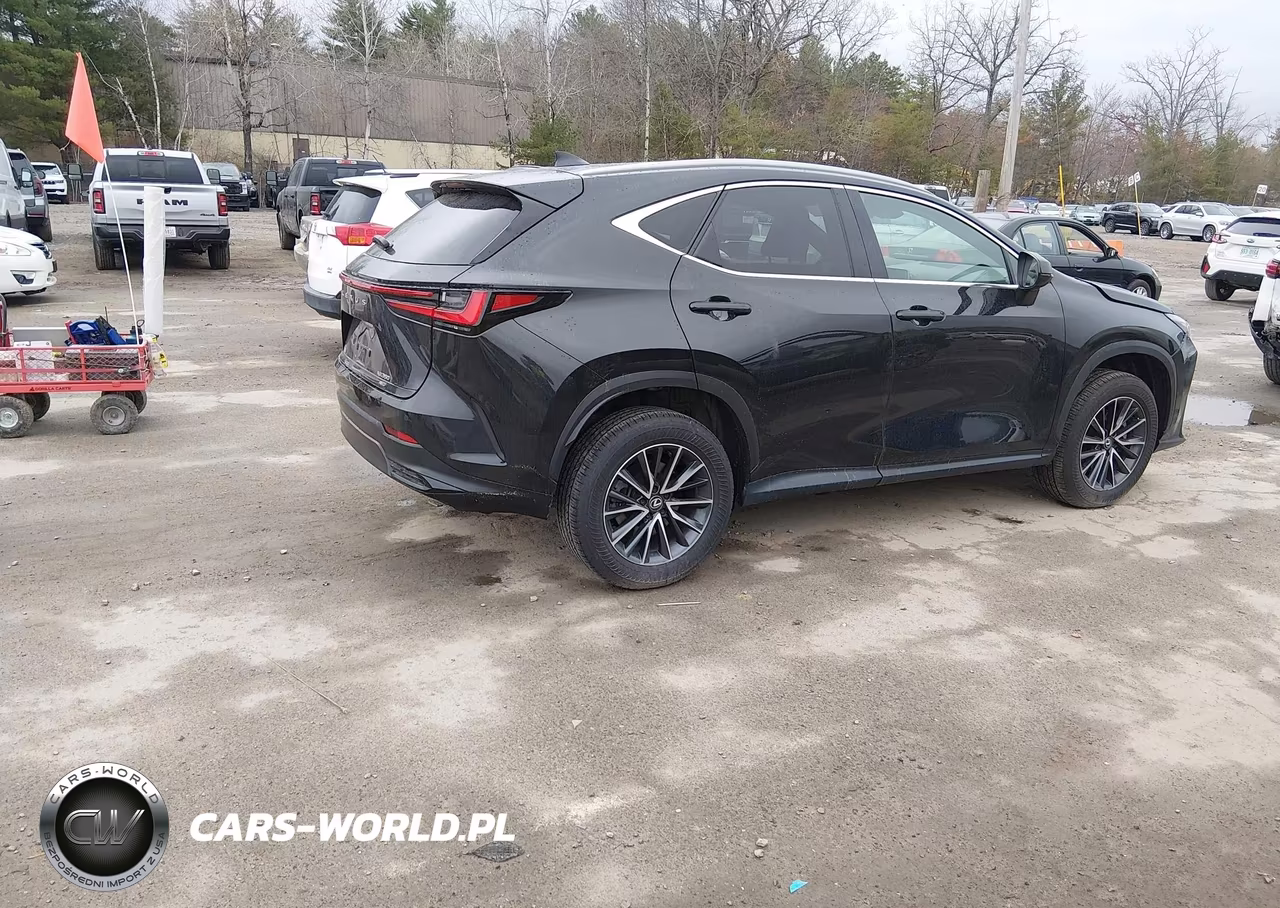 2025 Lexus Nx 350 VIN:2T2AGCEZ8SC067409 - 4