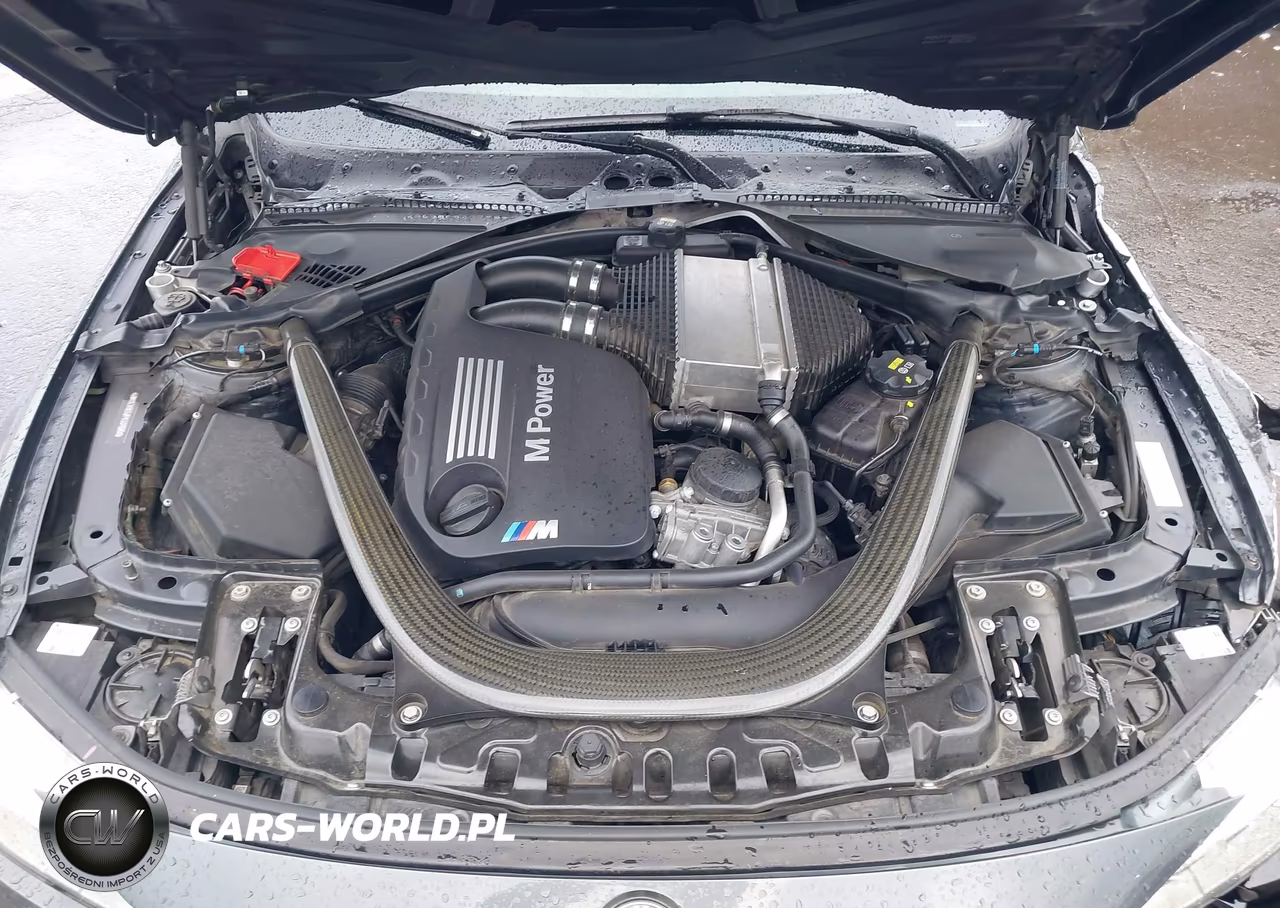 2015 BMW M4 VIN:WBS3R9C52FK331926 - 10