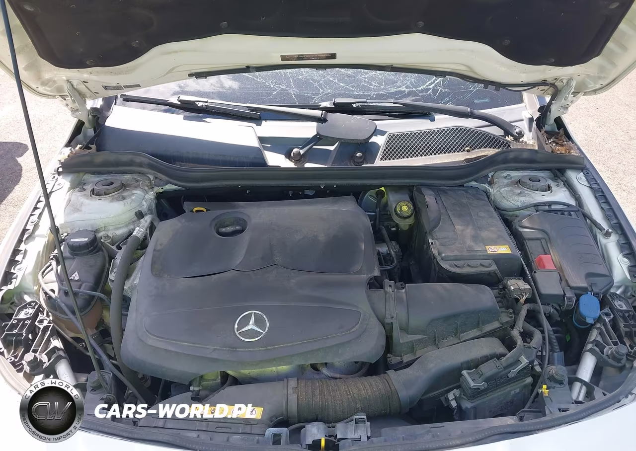 2014 Mercedes-Benz Cla 250 4Matic VIN:WDDSJ4GB9EN121680 - 10