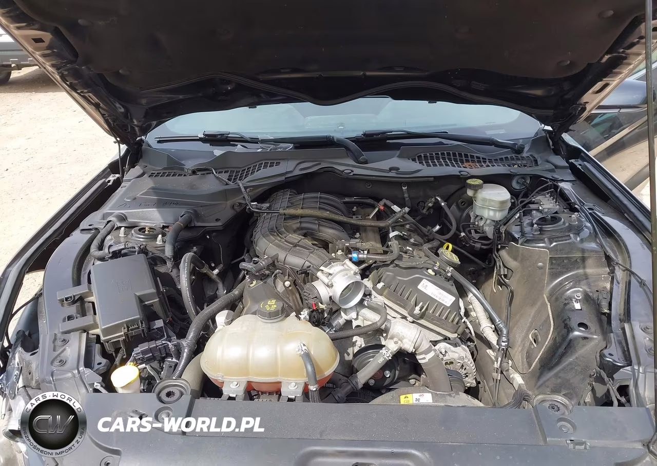2017 Ford Mustang V6 VIN:1FA6P8AMXH5301420 - 10