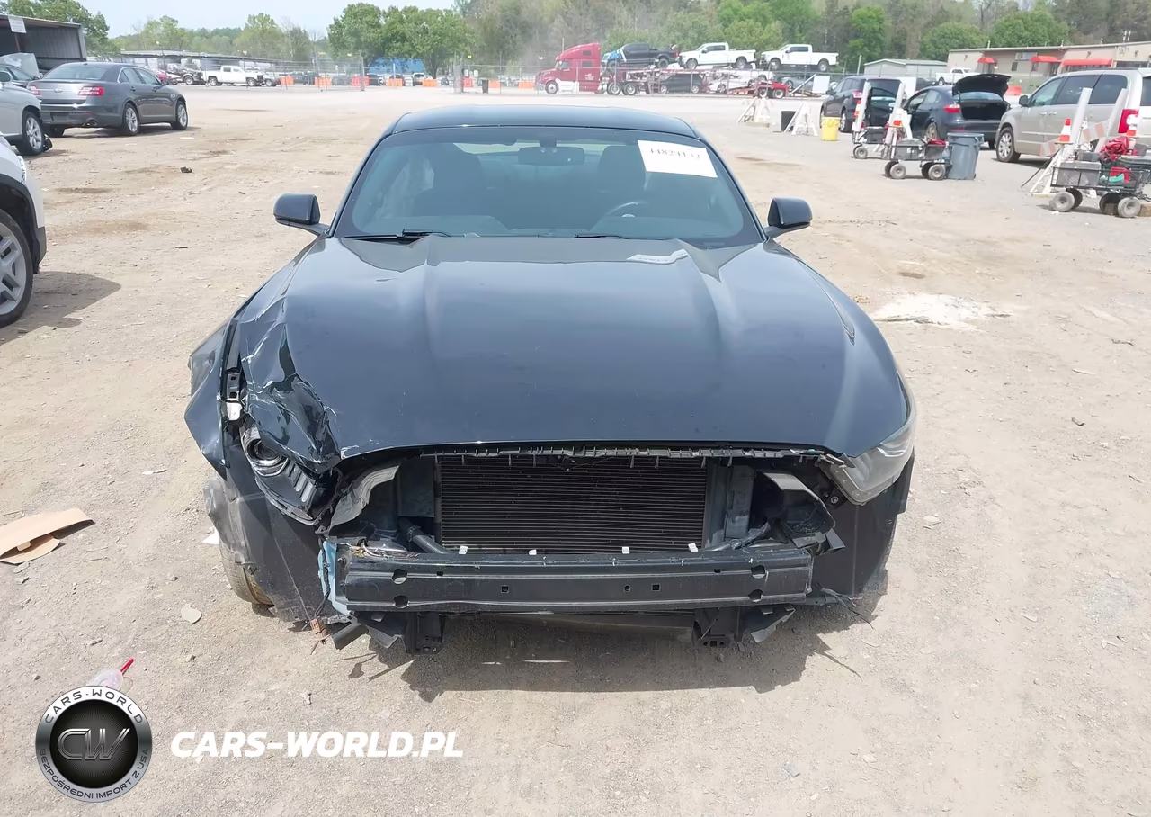 2017 Ford Mustang V6 VIN:1FA6P8AMXH5301420 - 13
