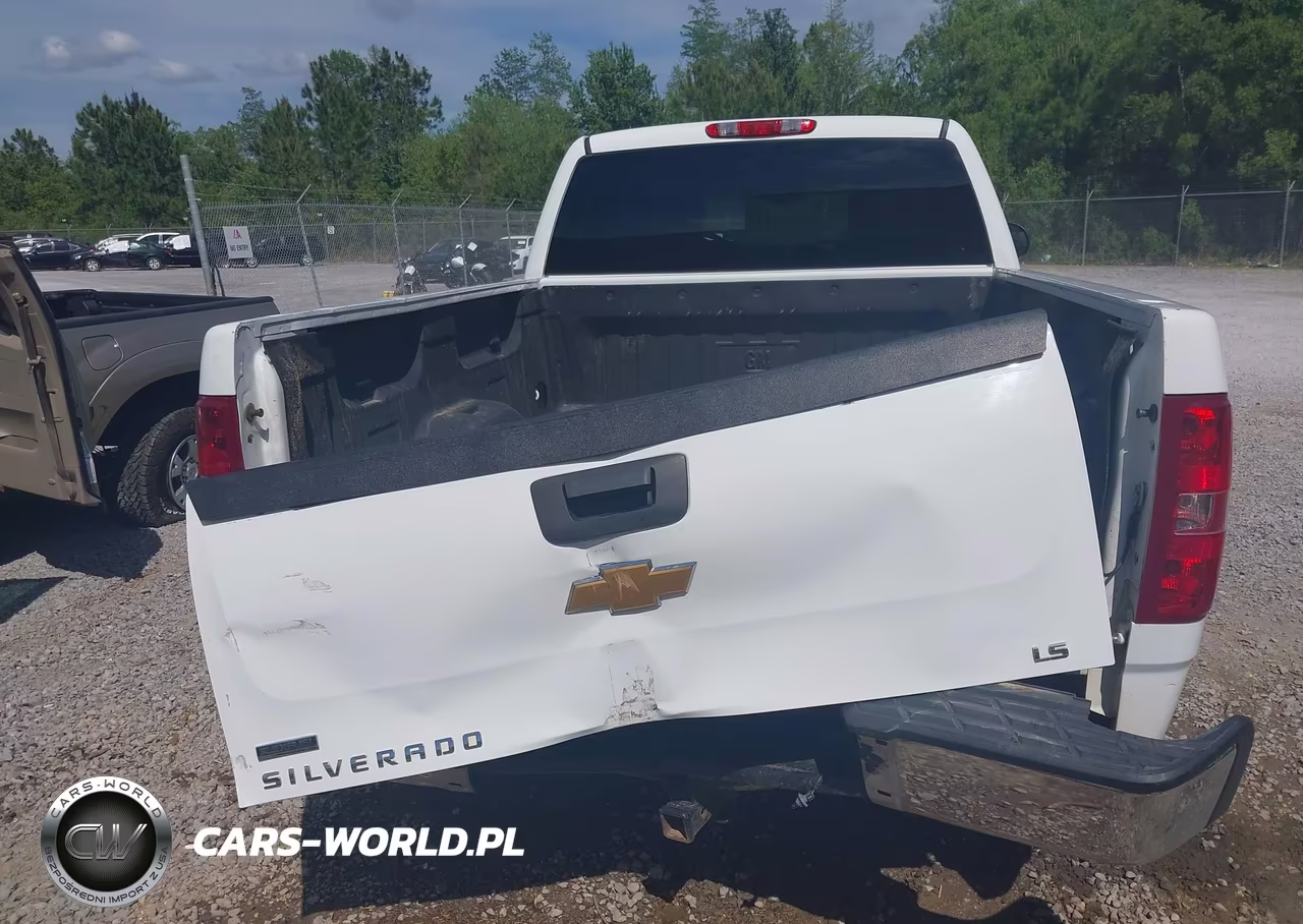 2012 Chevrolet Silverado 1500 Ls VIN:1GCRCREA9CZ306621 - 17
