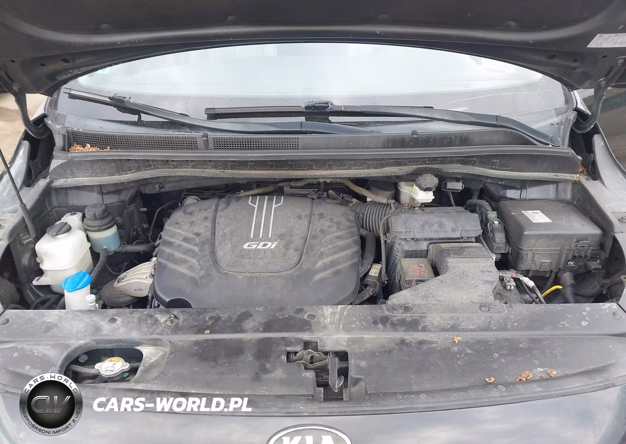 2017 Kia Sedona Ex VIN:KNDMC5C1XH6291934 - 10