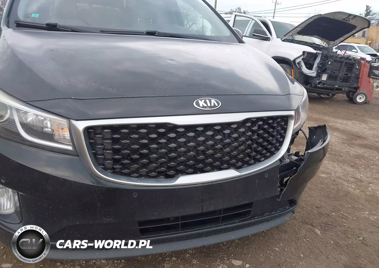 2017 Kia Sedona Ex VIN:KNDMC5C1XH6291934 - 17