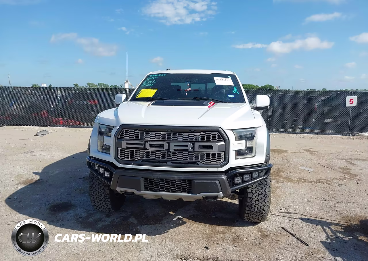 2018 Ford F-150 Raptor VIN:1FTFW1RGXJFC00476 - 12