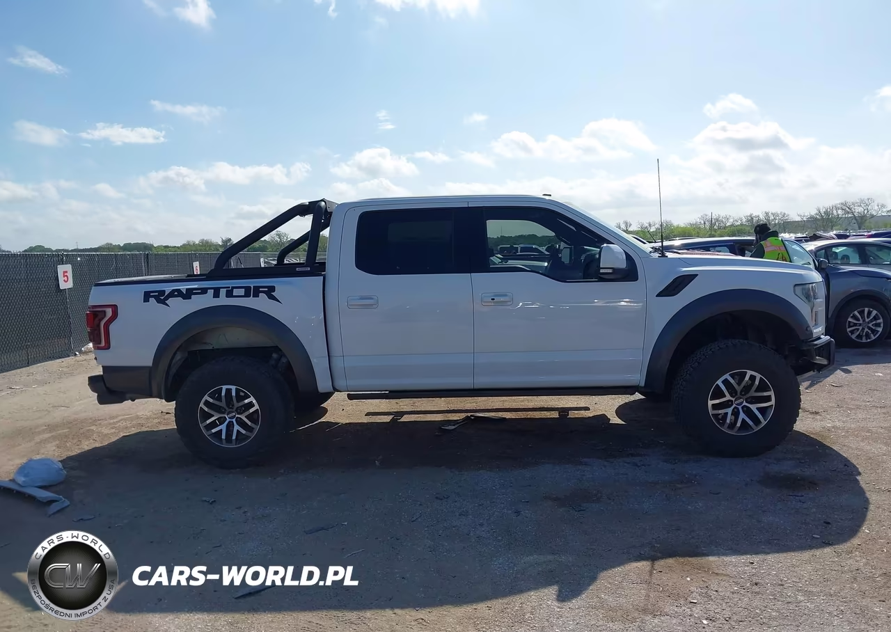 2018 Ford F-150 Raptor VIN:1FTFW1RGXJFC00476 - 13