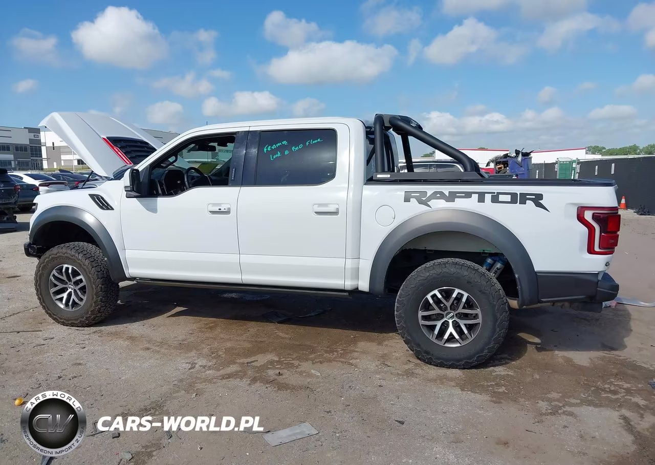 2018 Ford F-150 Raptor VIN:1FTFW1RGXJFC00476 - 14