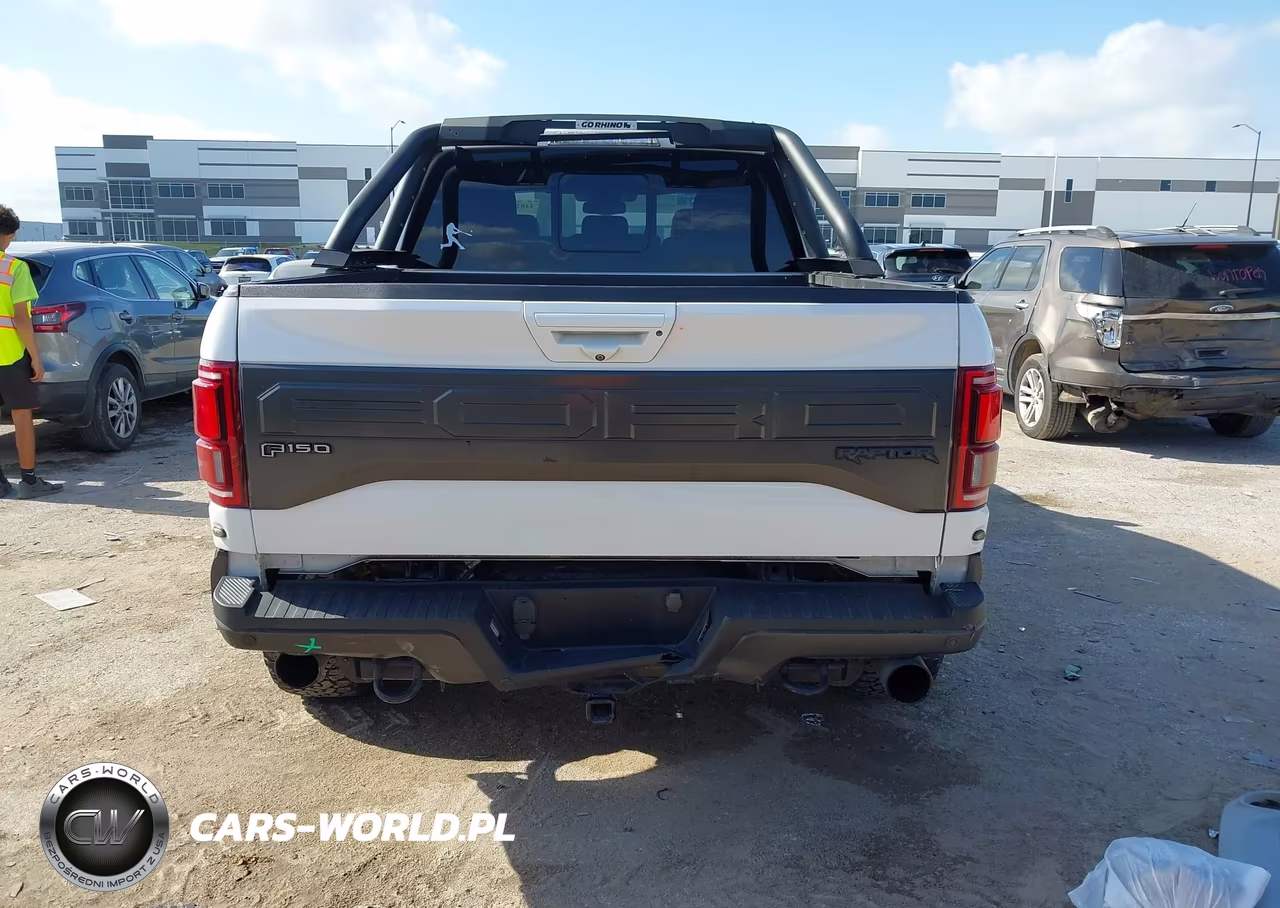 2018 Ford F-150 Raptor VIN:1FTFW1RGXJFC00476 - 16