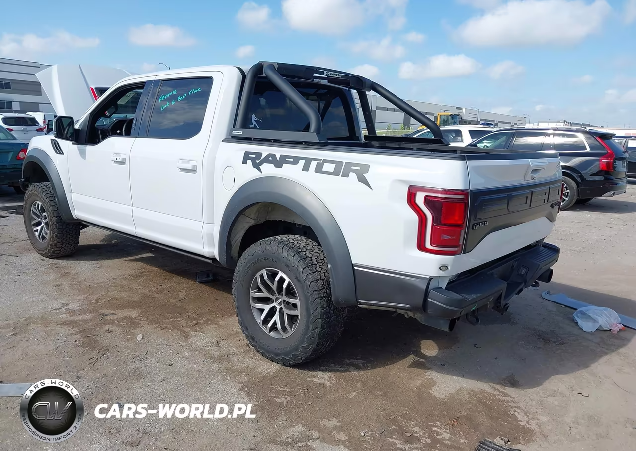 2018 Ford F-150 Raptor VIN:1FTFW1RGXJFC00476 - 3