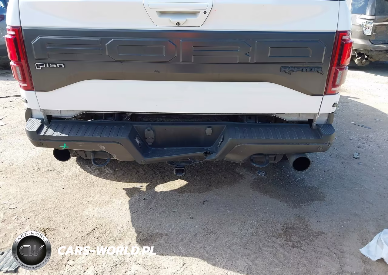 2018 Ford F-150 Raptor VIN:1FTFW1RGXJFC00476 - 6