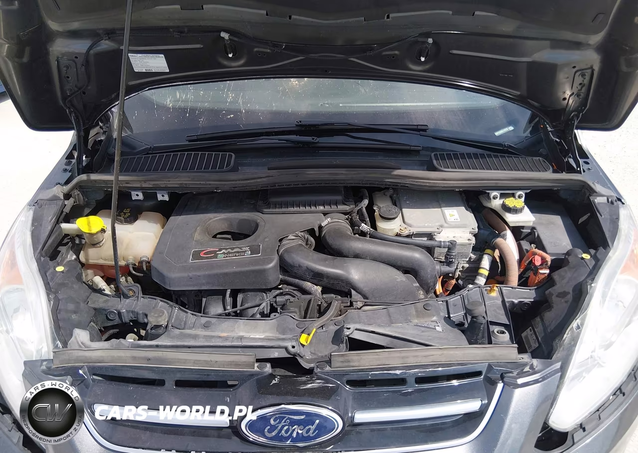 2016 Ford C-Max Energi Sel VIN:1FADP5CU8GL119230 - 10