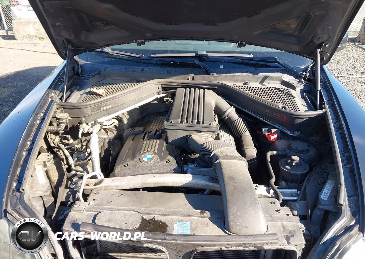 2009 BMW X5 xDrive30I VIN:5UXFE43539L274278 - 10