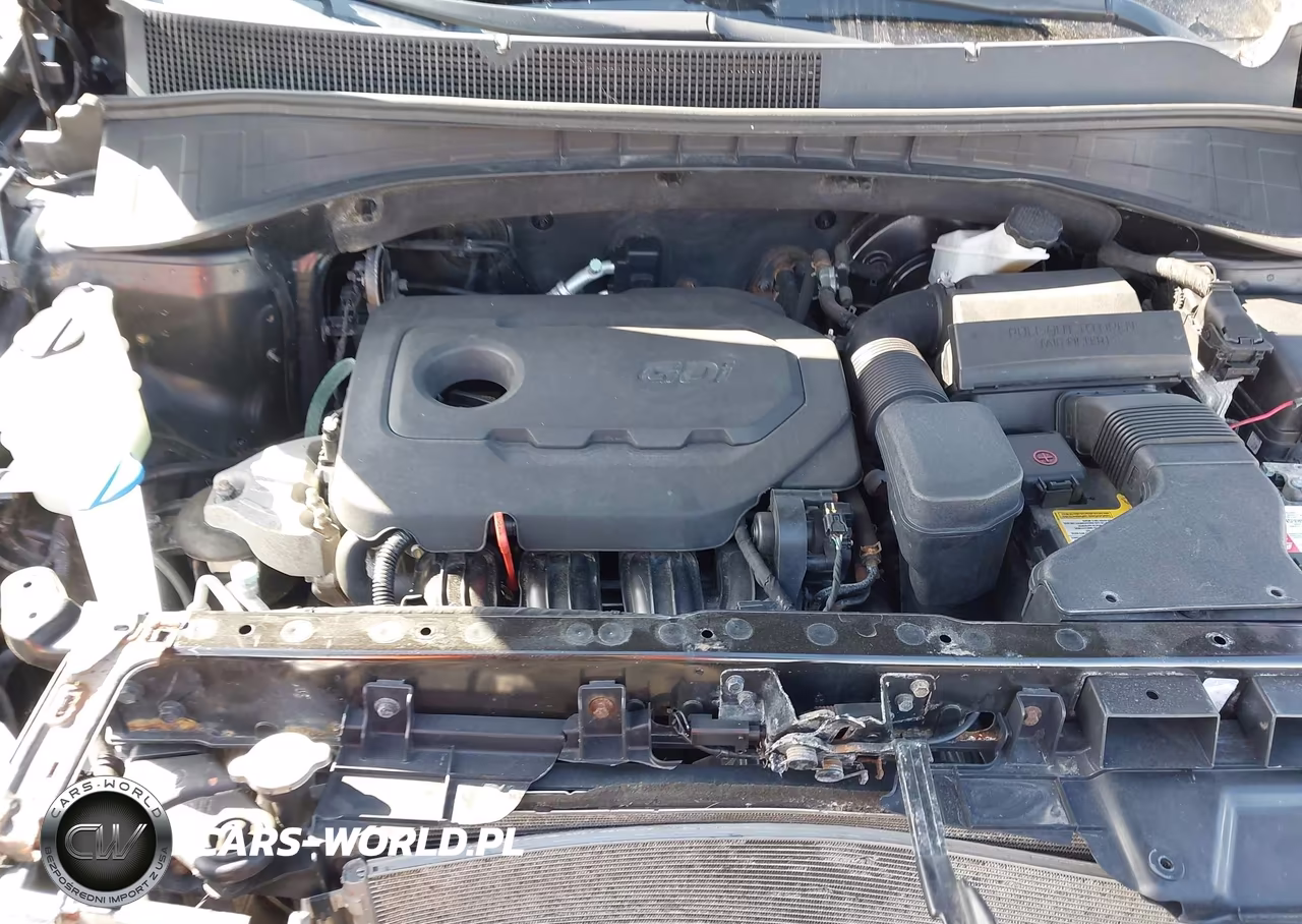 2017 Kia Sorento 2.4L Lx VIN:5XYPGDA32HG213998 - 10