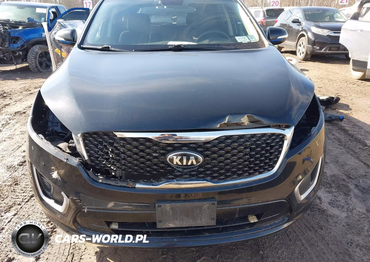 2017 Kia Sorento 2.4L Lx VIN:5XYPGDA32HG213998 - 13