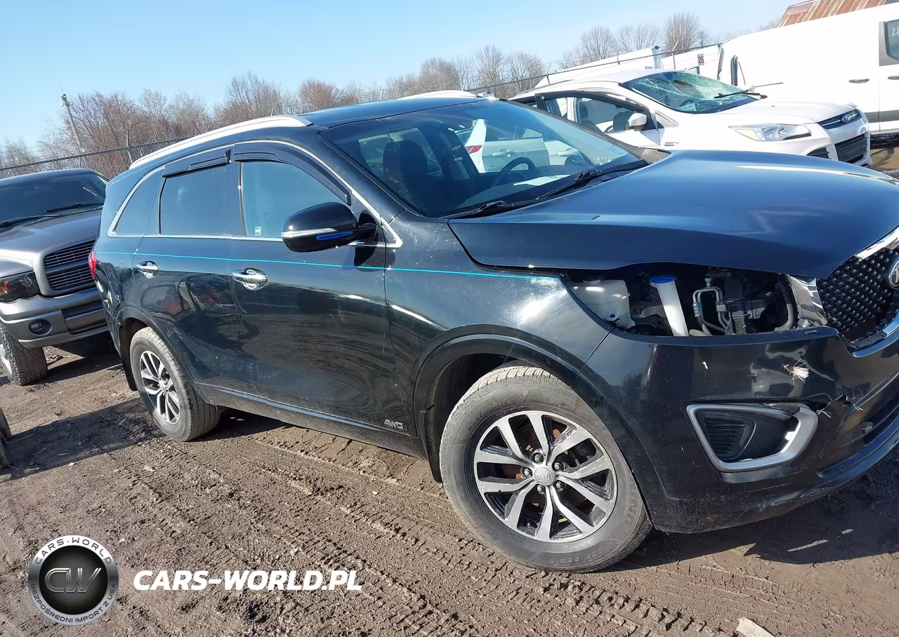2017 Kia Sorento 2.4L Lx VIN:5XYPGDA32HG213998 - 14