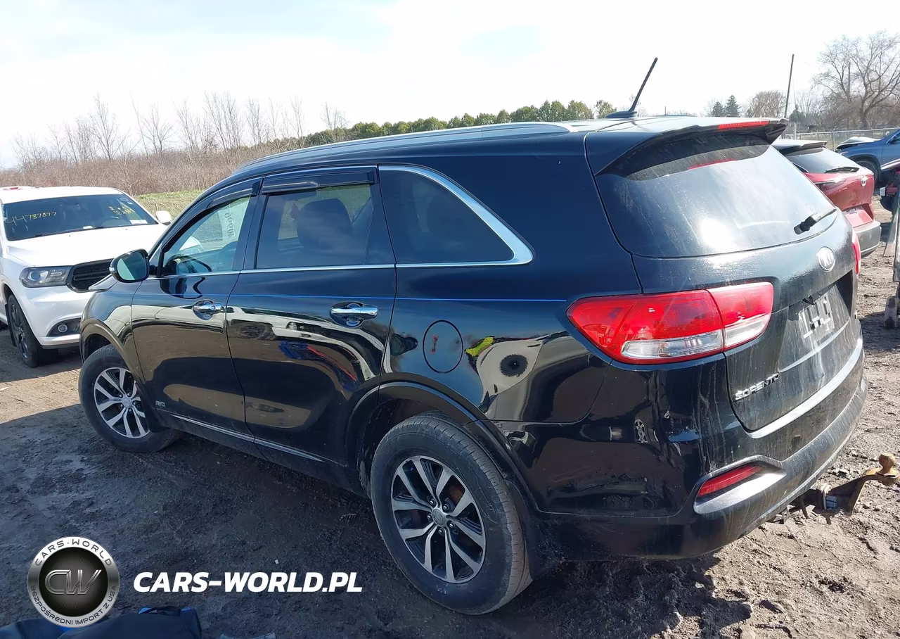2017 Kia Sorento 2.4L Lx VIN:5XYPGDA32HG213998 - 15