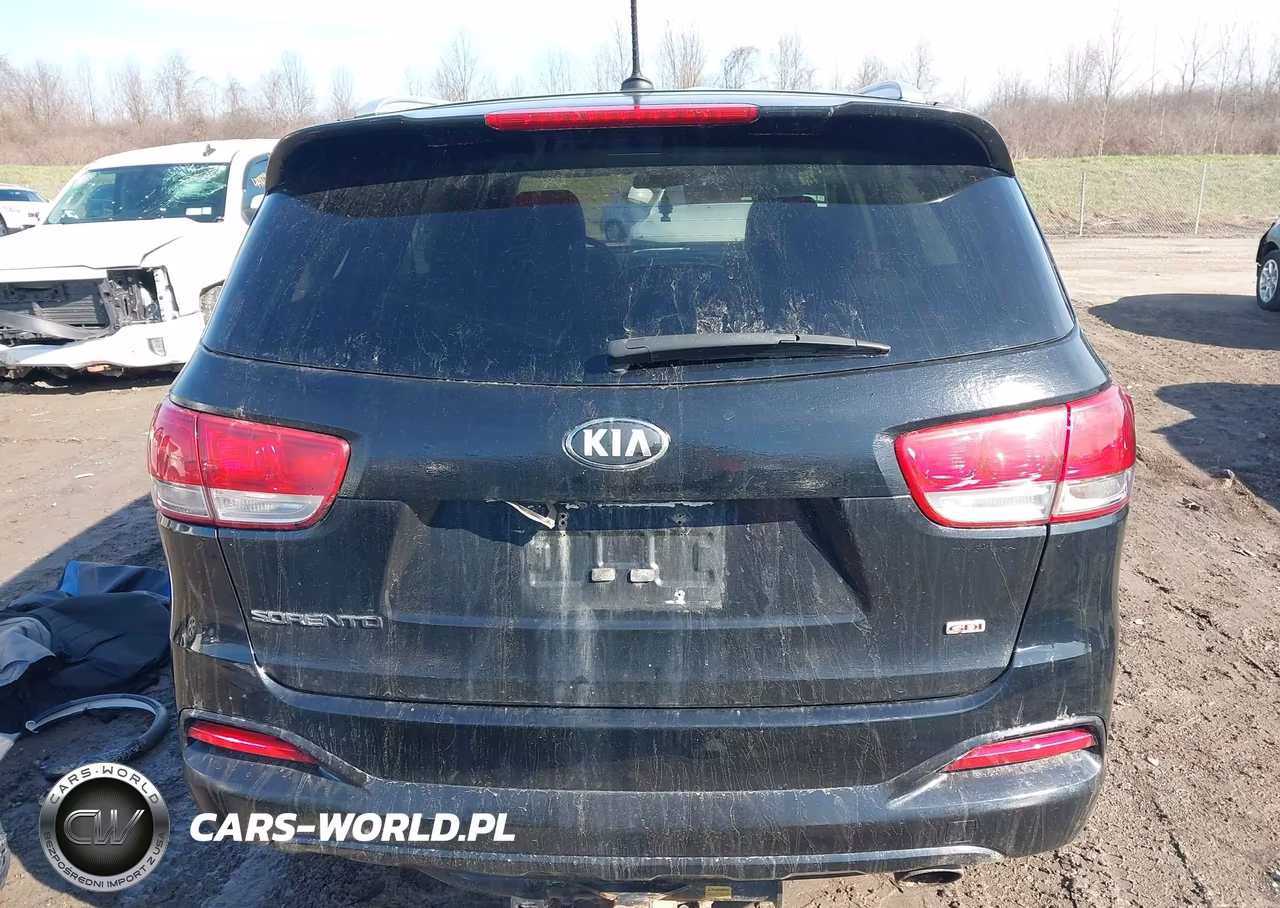 2017 Kia Sorento 2.4L Lx VIN:5XYPGDA32HG213998 - 17