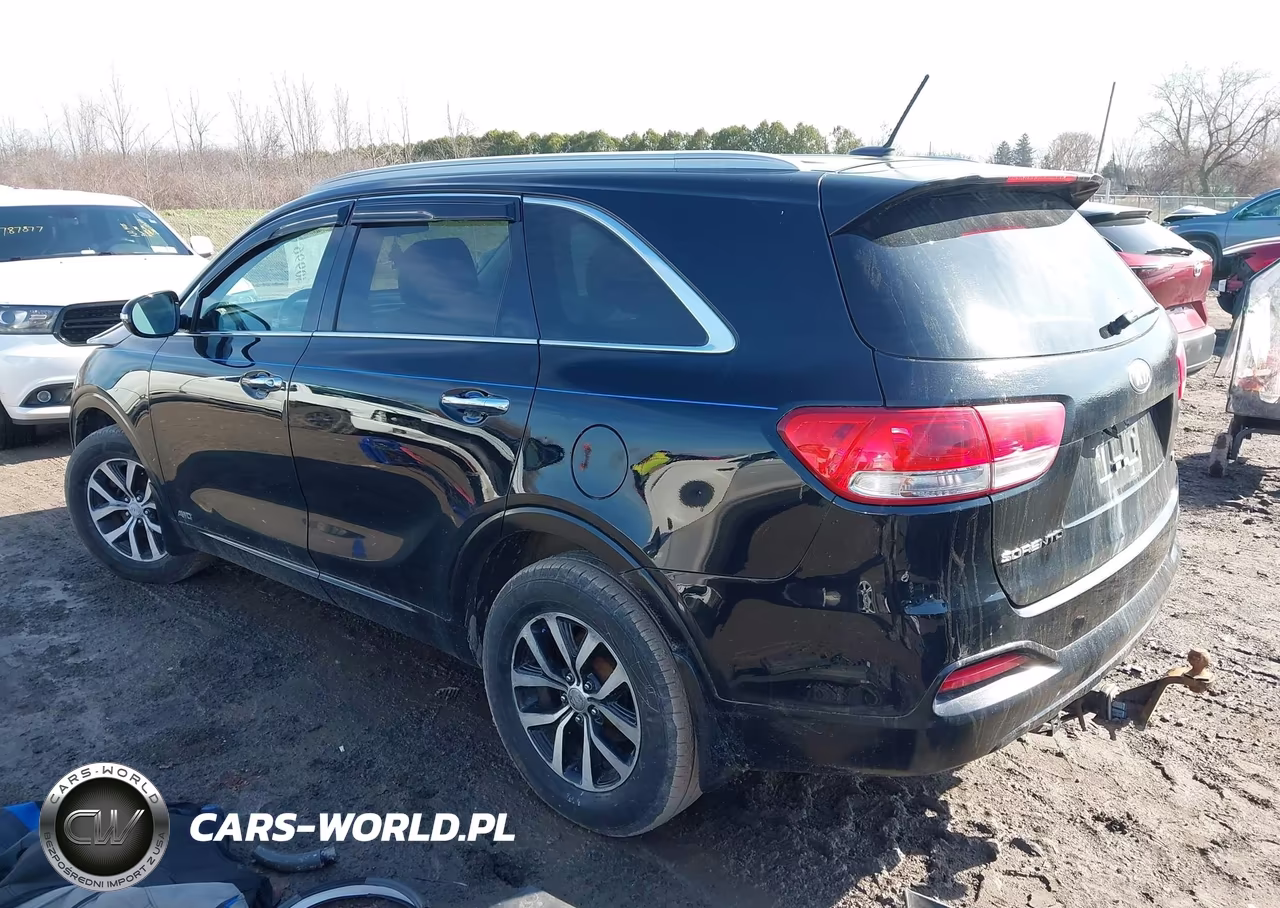 2017 Kia Sorento 2.4L Lx VIN:5XYPGDA32HG213998 - 3