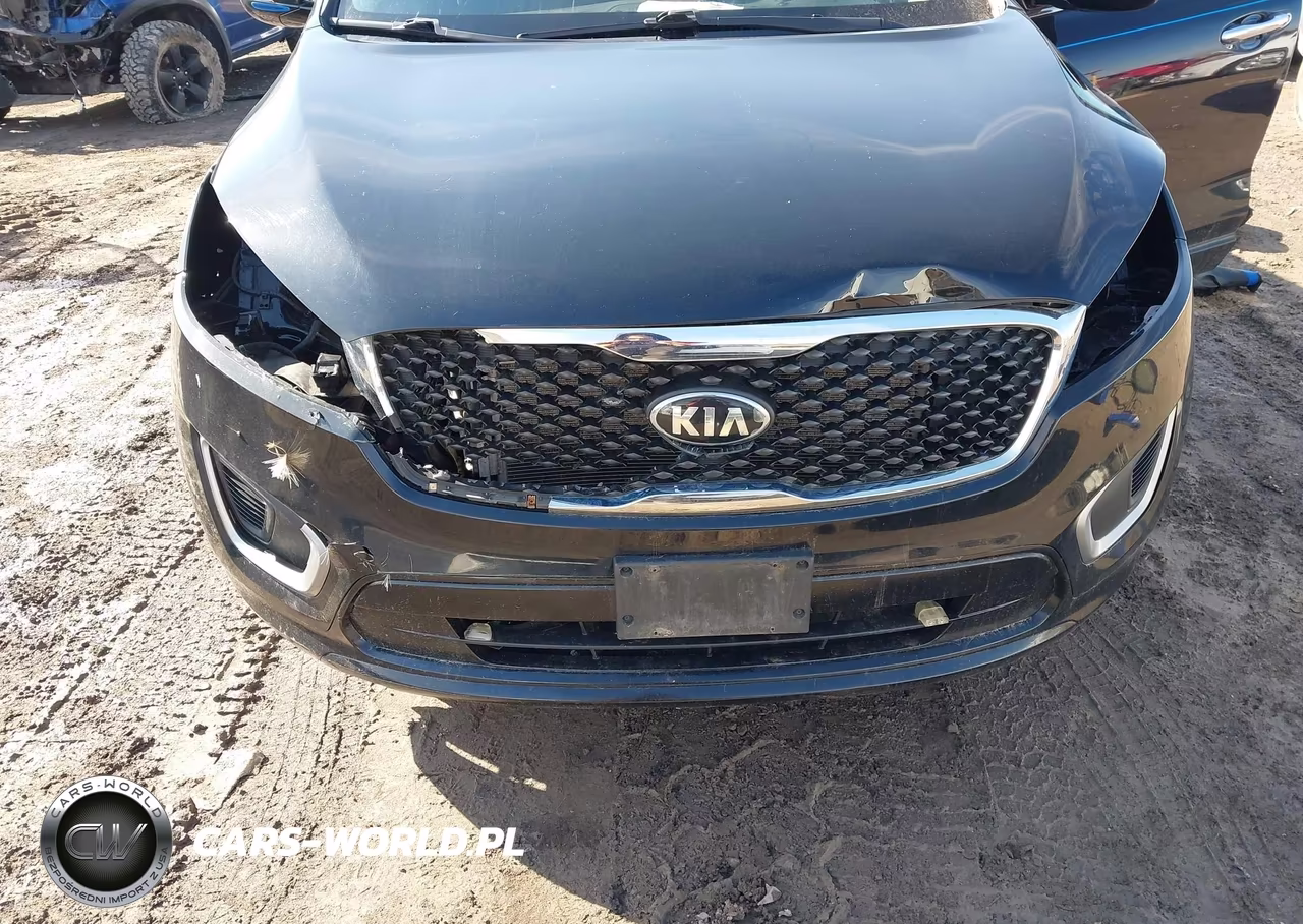 2017 Kia Sorento 2.4L Lx VIN:5XYPGDA32HG213998 - 6