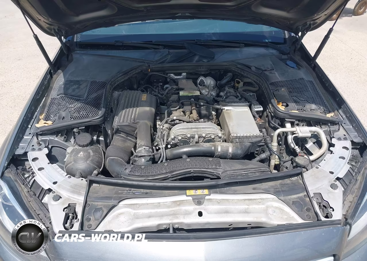 2018 Mercedes-Benz C 300 VIN:55SWF4JB9JU269647 - 10